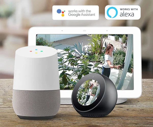 Google home hot sale swann security